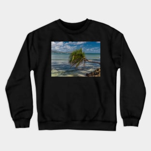 Caribbean Island Crewneck Sweatshirt